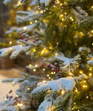 Krásné Vánoce a šťastný nový rok 2026!✨🎄 Děkujeme, že jste s námi, děkujeme za podporu, radost a za to, že spolu s námi...